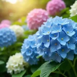 Do Hydrangeas Spread on Their Own? Discover the Secret Life of This Beautiful Shrub!