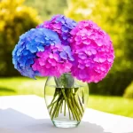 Transform Your Garden: How to Dye Hydrangeas and Create Stunning Colors!