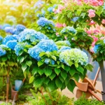 Revitalize Your Garden: How to Prune Overgrown Hydrangea Trees Like a Pro!