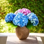 The Ultimate Guide on How to Cut Hydrangeas for Stunning Floral Arrangements