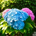 Discover the Magic: When Does Hydrangea Tree Bloom?