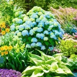 Discover the Best Limelight Hydrangea Companion Plants You Never Knew You Needed!