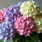 Unlock the Beauty of Your Garden with Little Quick Fire Hydrangea: The Ultimate Guide!