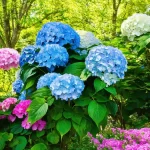 Can You Keep Hydrangeas Small? The Ultimate Guide to Managing Your Hydrangea Garden