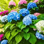 Can I Plant Hydrangeas in July? Discover the Best Tips for Summer Planting!