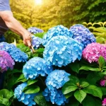 You Won’t Believe When Hydrangeas Bloom in New York: The Ultimate Guide to Gorgeous Blooms!