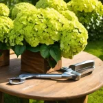 The Ultimate Guide: When to Prune Hydrangeas in Georgia for Stunning Blooms