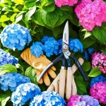 Discover the Secrets: How to Trim Endless Summer Hydrangeas for a Vibrant Blooming Season!