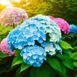 Discover the Secret: How to Enjoy Hydrangeas Year-Round!